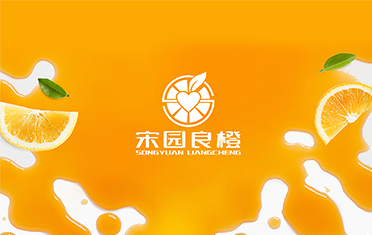 某良橙——大连LOGO设计